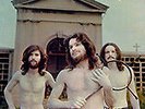/8016158017342/ Orme (Le) - Collage [Vinilo]