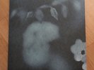 Sun Kil Moon 