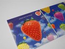 THE LIGHTNING SEEDS | Jollification | RARE ORIG 1994 UK Vinyl LP | TERRY HALL |