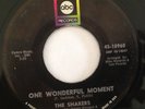 THE SHAKERS - ONE WONDERFUL MOMENT - CLASSIC OLDIE - LISTEN