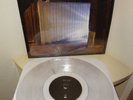 JESSE RUINS DREAM ANALYSIS CLEAR VINYL LP beach fossils captured tracks