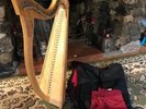 Aziliz Harp For Sale