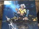 Iron Maiden Revelations In Germany Ltd Edition Picture Disc LP