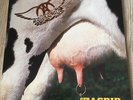 Aerosmith ?– Get A Grip -2 LP 1993 vinyl perfetto