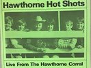 BEACH BOYS Hawthorne Hot Shots (2) 7