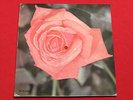 BRUCE SPRINGSTEEN hungry heart  RARE 1981 POLISH FLEXI Tonpress