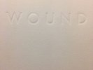 Wound Book by Mark McCoy Charles Bronson Spazz Three One G Powerviolence Locust