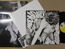 MUDHONEY superfuzz bigmuff US LP + INNER/INSERT (GOLDEN) green river/grunge