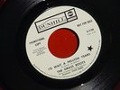 THE GRASS ROOTS I'd Wait A Million Years 45 NEAR MINT PROMOTIONAL COPY