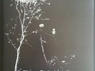 Darkthrone Under a funeral moon LP mayhem satyricon emperor black metal norway