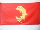 DRAPEAU COMTÉ DE FOREZ 150x90cm - DRAPEAU FORÉZIEN - SAINT-ETIENNE 90 x 150 cm F