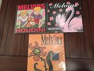 Melvins - Three Record Set (Houdini, Stoner Witch, Stag) - Reissues
