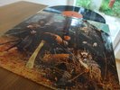 GUN LP GUN SIGHT 1969 HARDROCK MONSTER MINT 1ST ORANGE CBS RECORDS