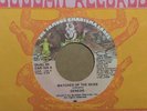45 RPM Genesis FAMOUS CHARISMA LABEL Watcher Of the Skies