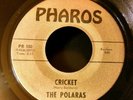 The Polaras - Cricket / Breaker