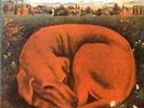 TICKET - LET SLEEPING DOGS LIE - NEW