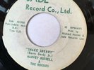 RARE OHIO GARAGE 45/ HARVEY RUSSELL & ROGUES 