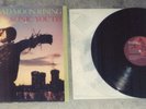 Sonic Youth Bad Moon Rising LP Record Homestead 1985