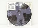 USED M- 2 12? LPs System Of A Down Steal This Album  Columbia Records 2002 Pi...