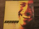 Shaggy Hot Shot