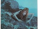 Siren  Roxy Music Vinyl Record