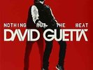 David Guetta-Nothing But the Beat  Vinyl / 12