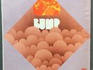 BUMP Detroit psych LP   Pioneer private press OG original press