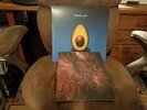 Pearl Jam Avocado 1st Release US Double Black Vinyl LP Gatefold Sleeve & Booklet