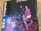 DUBBY BRODIE & The REGGAE ROCKS REBEL NOW LP Sealed Reggae