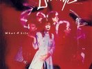 Divinyls What A Life LP RML53130 - Excellent Condition