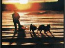 The Human League - Travelogue - (Vinyl)