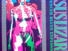 The Jesus Lizard & Jon Spencer Blues Explosion @ Emo's Austin TX 1992 Poster