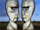Pink Floyd The Division Bell (2014 Double Vinyl LP)