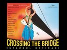 ISTANBUL HATIRASI  CROSSING THE BRIDGE SOUND  LP   Vinyl Turkish POP SEZEN AKSU