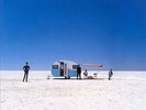 Circus Animals by Cold Chisel.
