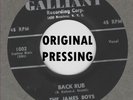 ROCKABILLY ORIG: JAMES BOYS - Back Rub/That's all GALLIANT