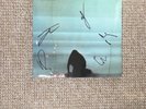 FOALS Signed LP What Went Down New Sealed