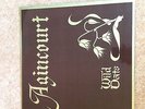 WILD OATS 1975 LP - AGINCOURT - VERY RARE PSYCH-FOLK PRIVATE PRESS,  VIVA SMITH