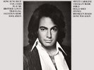 Neil Diamond His 12 Greatest Hits HALF SPEED NEAR MINT Direct-Disk Vinyl LP