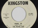 Funk/Sweet Soul 45 - Rising Sun - Feel It - Kingston - mp3