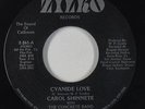 Modern Soul Boogie 45 - Carol Shinnete - Cyanide Love - Zilko - VG++ mp3