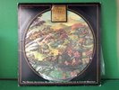 Leonard Rosenman - The Lord Of The Rings 2 LP | LORPD-2 | Picture Disc | VG