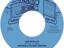 Benjamin & The Right Direction 