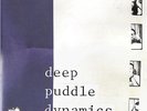 Deep Puddle Dynamics ?– The Taste Of Rain...Why Kneel  Gatefold 2LP 1999 Anticon