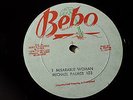 Michael Palmer -  Miserable Woman /Roots Reggae 12