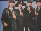 LES BEATLES 