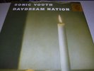 Sonic Youth - Daydream Nation - 2LP Vinyl // Neu & OVP // Remastered // MP3