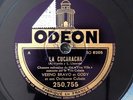 Cuban Trio Weeno, Bravo & Gody La Cucaracha Odeon France MP3