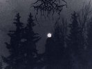 DARKTHRONE - panzerfaust LP