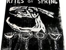 THE RITES OF SPRING   1985 DISCHORD LP   ORIGINAL PRESSING w SLEEVE